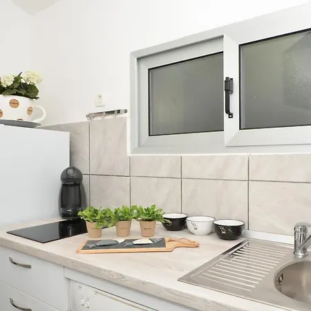 Marineblue * טרוגיר