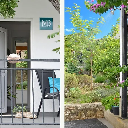 Marineblue * טרוגיר